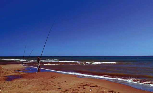 Pêcher le début d'hiver en mediterrannée 